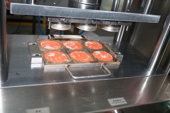 6 سوراخ Cnc آلومینیوم قالب برای شکل پودر مرطوب 1 سال گارانتی